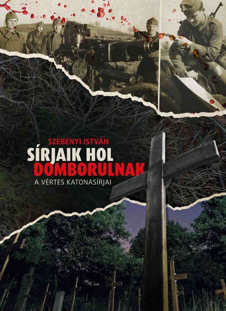 Sírjaik Hol Domborulnak - A Vértes Katonasírjai