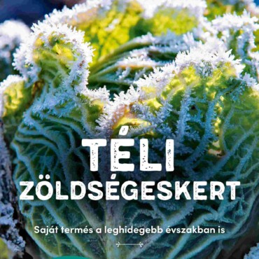 Téli Zöldségeskert
