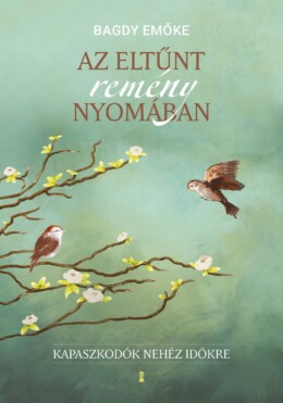 Az Eltűnt Remény Nyomában