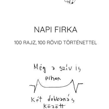Napi Firka - 100 Rajz, 100 Rövid Történettel