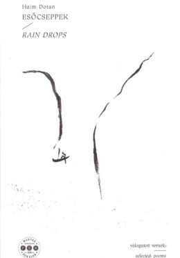 Esőcseppek - Rain Drops