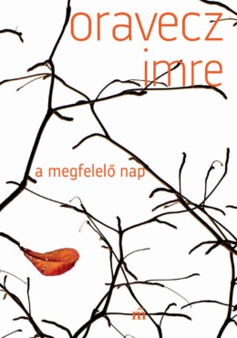 A Megfelelő Nap