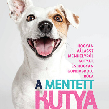 A Mentett Kutya