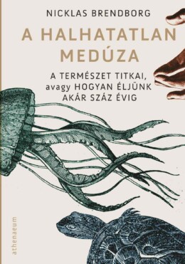 A Halhatatlan Medúza - A Természet Titkai, Avagy Hogyan Éljünk Akár Száz Évig