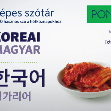 Pons Képes Szótár Koreai-Magyar