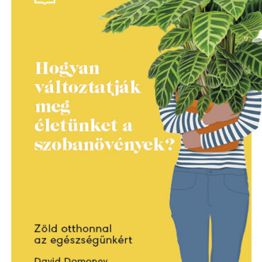 Hogyan Változtatják Meg Életünket A Szobanövények?