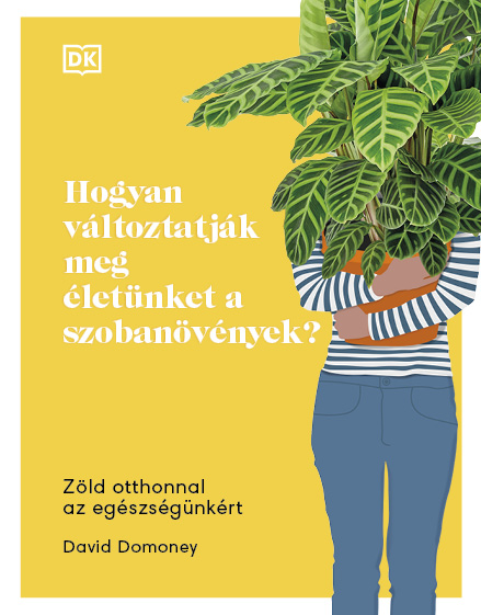Hogyan Változtatják Meg Életünket A Szobanövények?