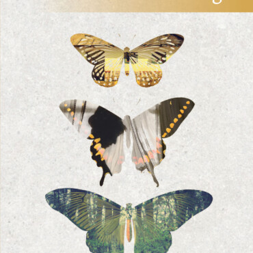 Pillangó - Osiris Diákkönyvtár