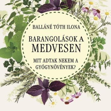 Barangolások A Medvesen