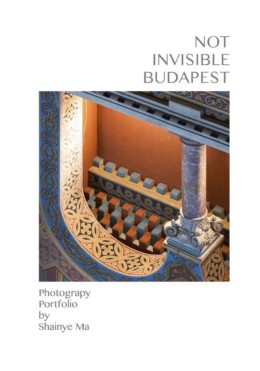 Not Invisible Budapest