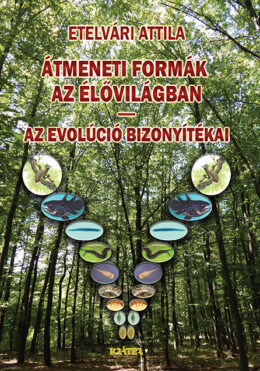 Átmeneti Formák Az Élővilágban - Az Evolúció Bizonyítékai