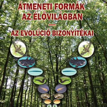 Átmeneti Formák Az Élővilágban - Az Evolúció Bizonyítékai