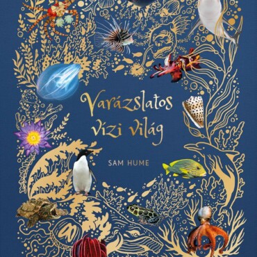 Varázslatos Vízi Világ - Élfestett