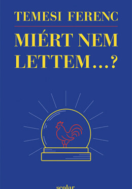 Miért Nem Lettem...?