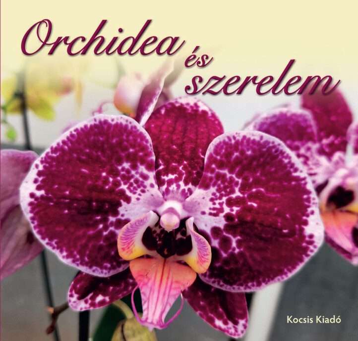 Orchidea És Szerelem