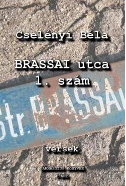 A Brassai Utca 1. Szám