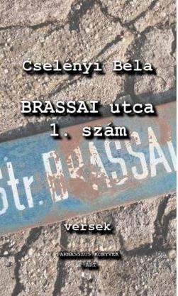 A Brassai Utca 1. Szám