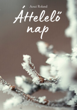 Áttelelő Nap