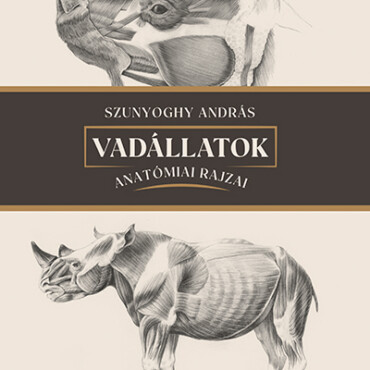 Vadállatok Anatómiai Rajzai