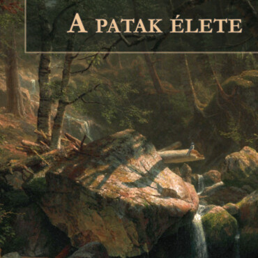 A Patak Élete