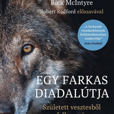 Egy Farkas Diadalútja  Született Vesztesből Falkavezér