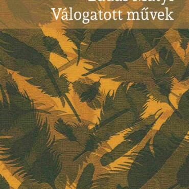 Lúdas Matyi - Válogatott Művek