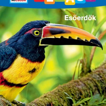 Mi Micsoda Olvasó - Esőerdők