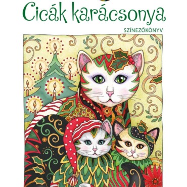 Cicák Karácsonya - Színezőkönyv