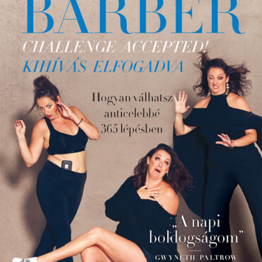 Challenge Accepted! - Kihívás Elfogadva