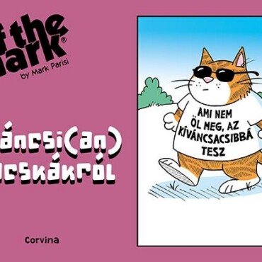 Kíváncsi(An) Macskákról