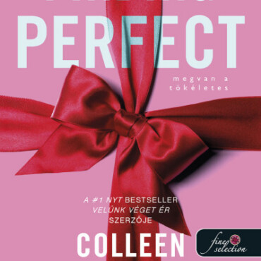 Finding Perfect - Megvan A Tökéletes (Reménytelen 2,6)