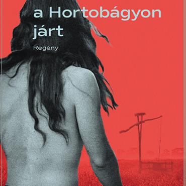 Amikor Jézus A Hortobágyon Járt