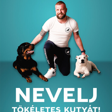 Nevelj Tökéletes Kutyát!