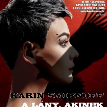 A Lány, Akinek Semmi Sem Drága (Millenium-Sorozat 7.)