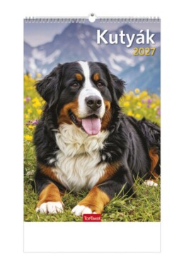 Kutyák Falinaptár - 2027