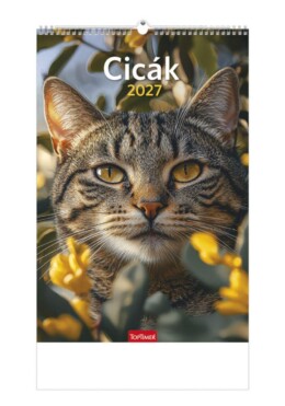 Cicák Falinaptár - 2027