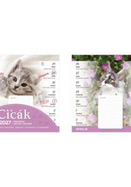 Cicák Mágneses Falinaptár - 2027