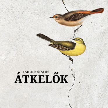 Átkelők - Fűzött