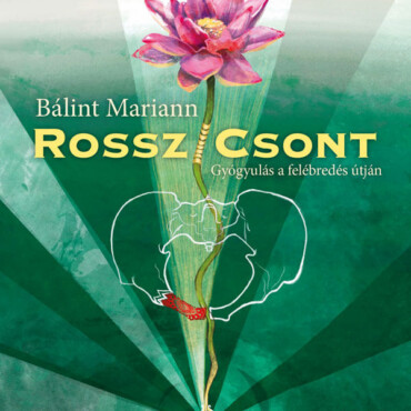 Rossz/Csont - Gyógyulás A Felébredés Útján