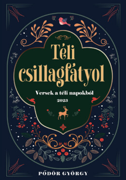 Téli Csillagfátyol- Versek A Téli Napokból