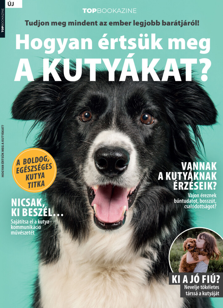 Hogyan Értsük Meg A Kutyákat? - Top Bookazine