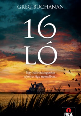 16 Ló