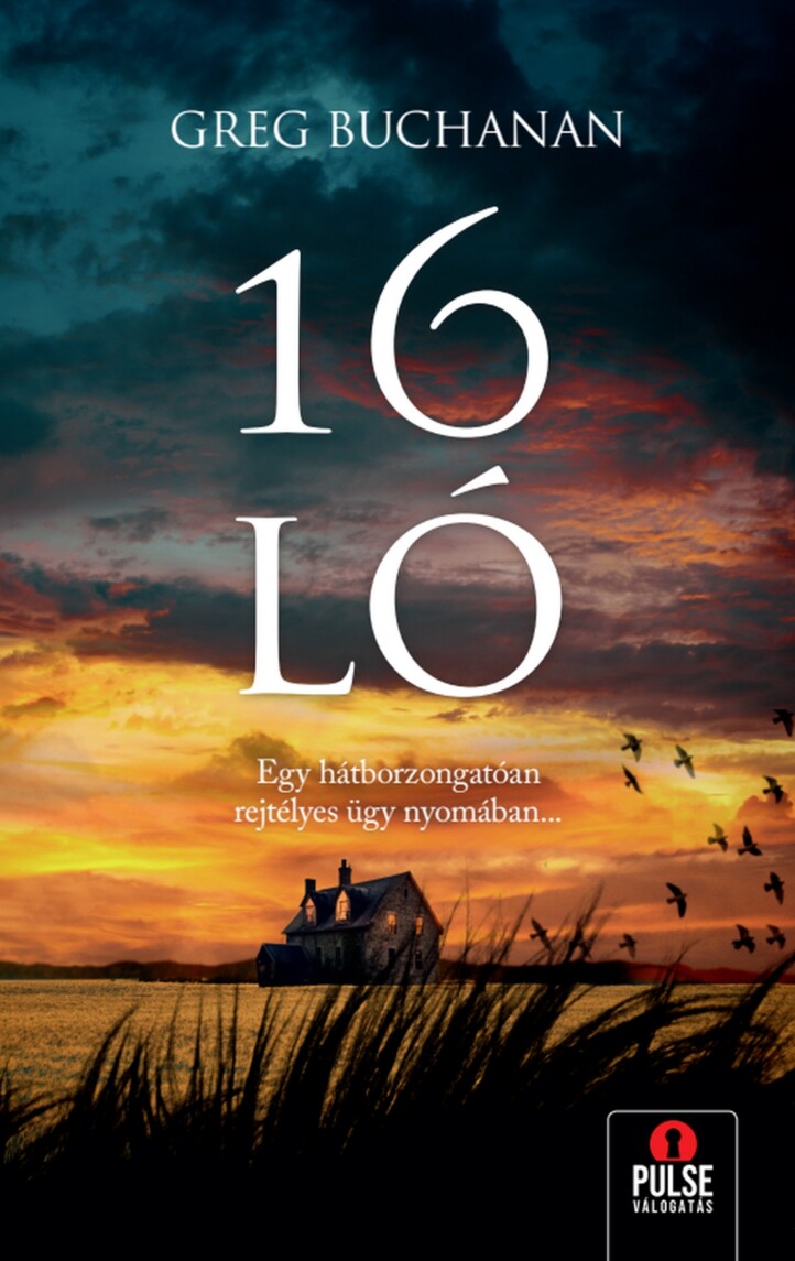 16 Ló