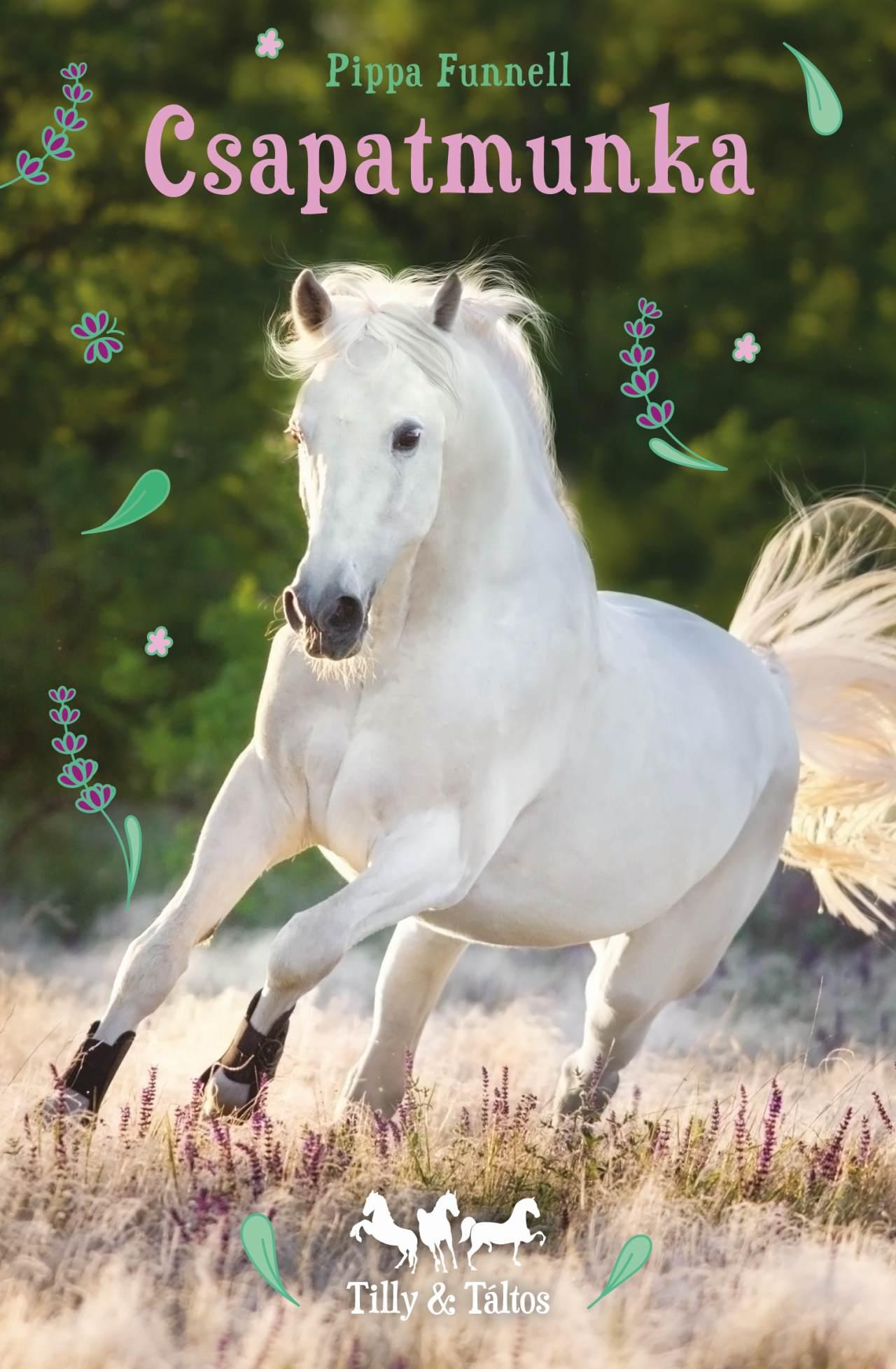 Tilly És Táltos 3. - Csapatmunka