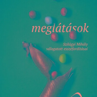 Meglátások -  Szilágyi Mihály Válogatott Esszéfordításai