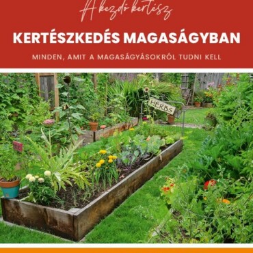 Kertészkedés Magaságyban - Minden, Amit A Magaságyásokról Tudni Kell