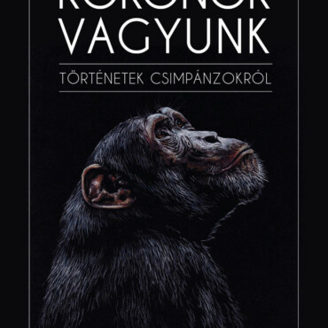 Rokonok Vagyunk- Történetek Csimpánzokról