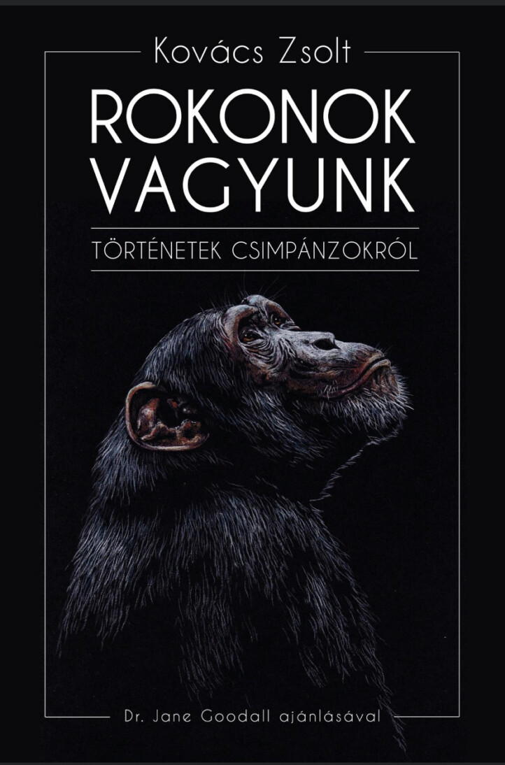 Rokonok Vagyunk- Történetek Csimpánzokról