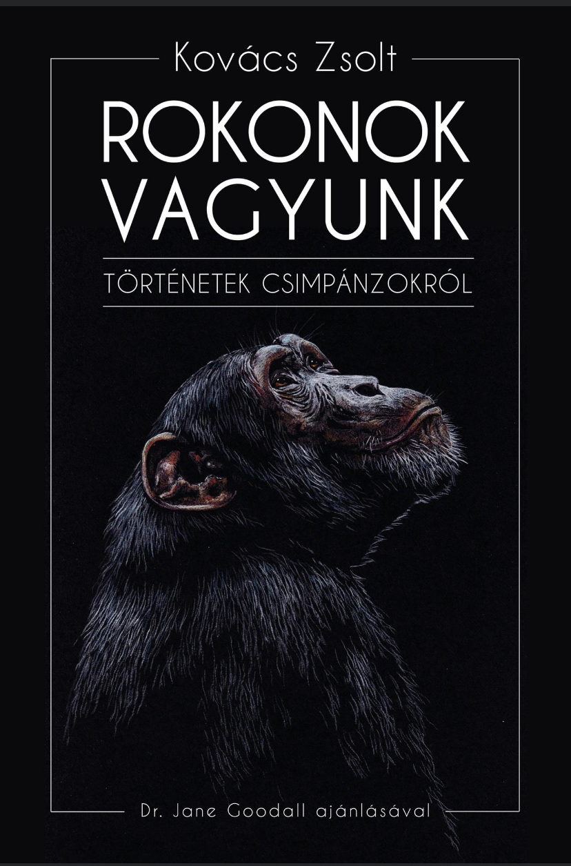 Rokonok Vagyunk- Történetek Csimpánzokról