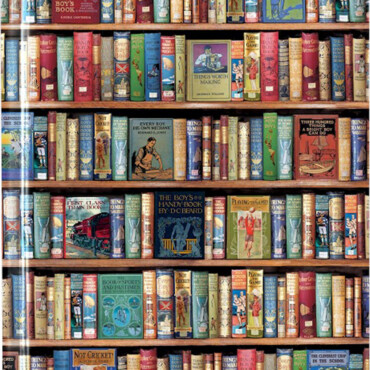 Flame Tree A4 Notesz Hobbies & Pastines Bookshelves